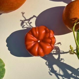 Zapachowa świeca dynia z wosku pszczelego